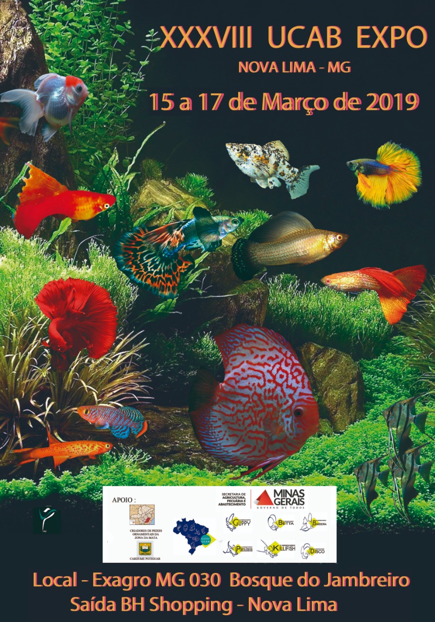 WhatsApp Image 2019-01-28 at 08.29.53